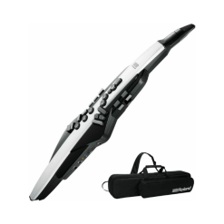 Roland Aerophone AE-20